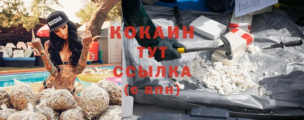 гидра Нея